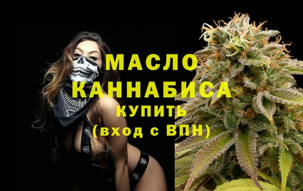 Альфа ПВП Ельня