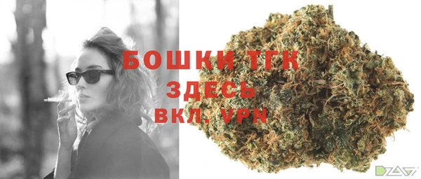 мяу мяу мука Елабуга
