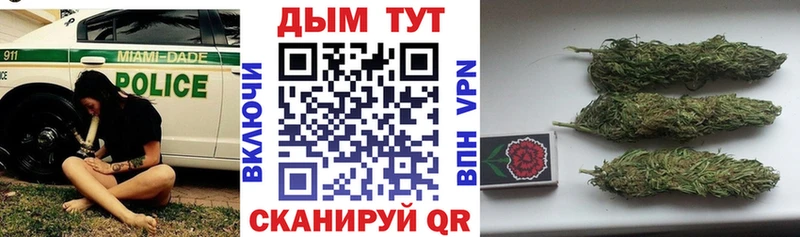 Канабис MAZAR Купить Искитим